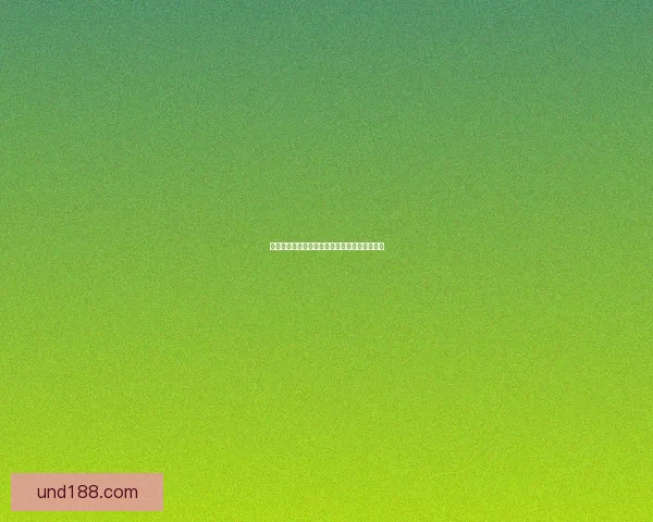 双子皇帝的传奇一生：权力的博弈与命运的交错